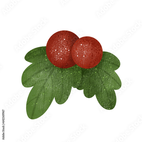 Christmas Red berry leaves ,decoration, background, merry, watercolor,cartoon character,cute,icon ,vector, illustration,hand drawn
