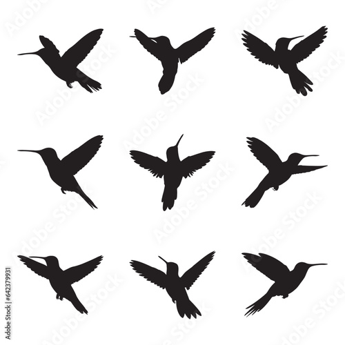 Set of silhouettes of wild hummingbirds - isolated vector images of wild birds