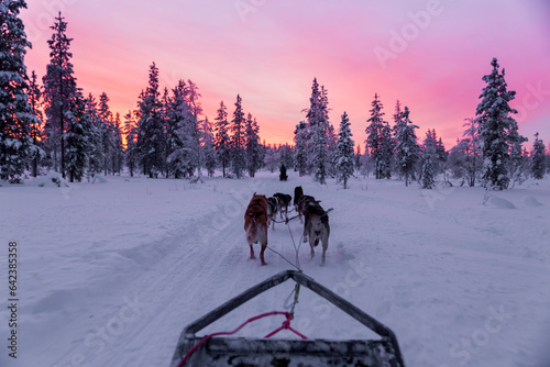 Unrecognizable men in warm clothes walking with pack of dogs on snowy land
