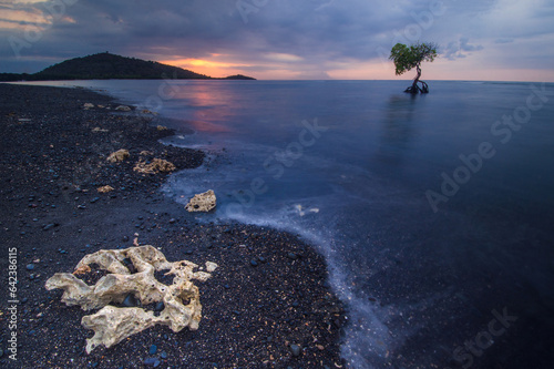 Amazing view of sandy black pebbles beach with seawater during sunset time daylight photo