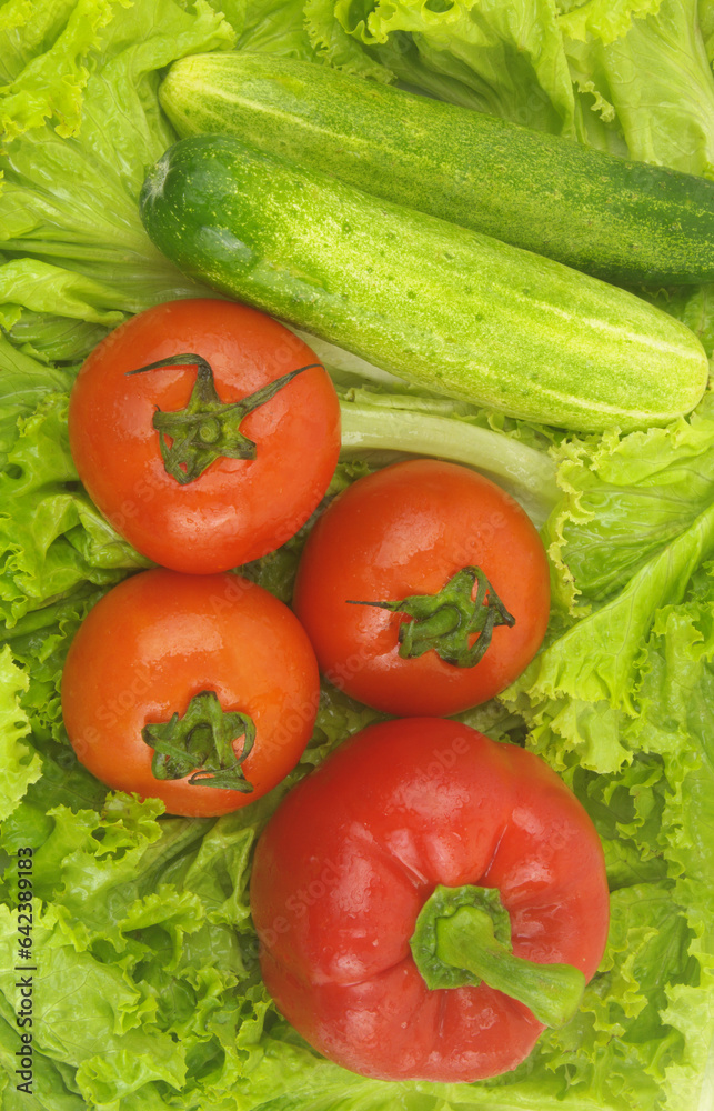 Sweet pepper, tomatoes and cucumbers on green salad leaves. Sweet pepper, tomatoes and cucumbers on green salad leaves.