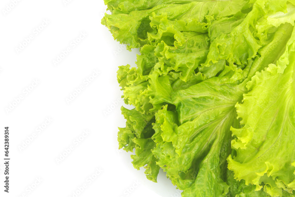 Fresh salad leaves isolated on white background. Copy space for text. Fresh salad leaves isolated on white background. Copy space for text.