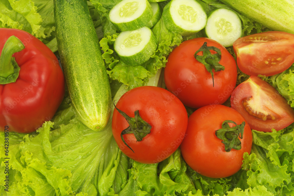 Fresh pepper, tomatoes and cucumbers on green salad leaves. 