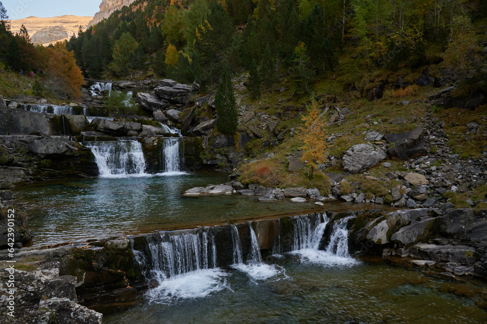 Fast creek flowing through forest trees and stones Fast creek flowing through forest trees and stones