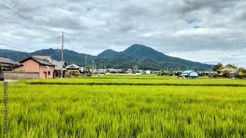 Countryside scenery  around the birthplace of sumo  Nara  Japan