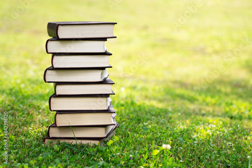 Quadro em tela High stack of a classical brown identical books on a green grass in sunny morning outdoors