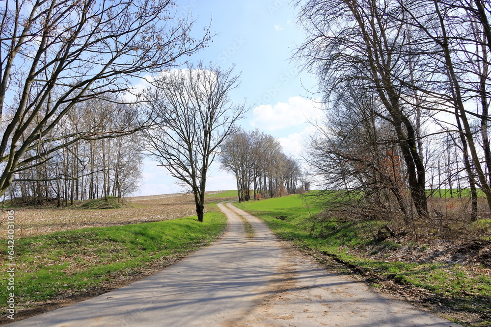 Germany, Curved way through nature landscape