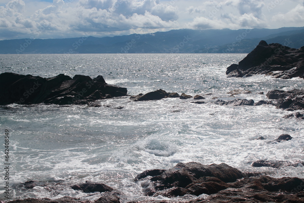 Obraz premium 真鶴岬