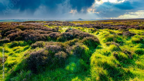 Great Britain Countryside and North East England Moors photo
