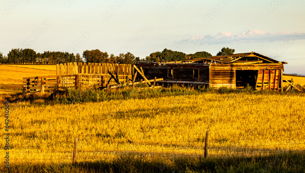Obraz premium A drive through Wheatland County Alberta Canada