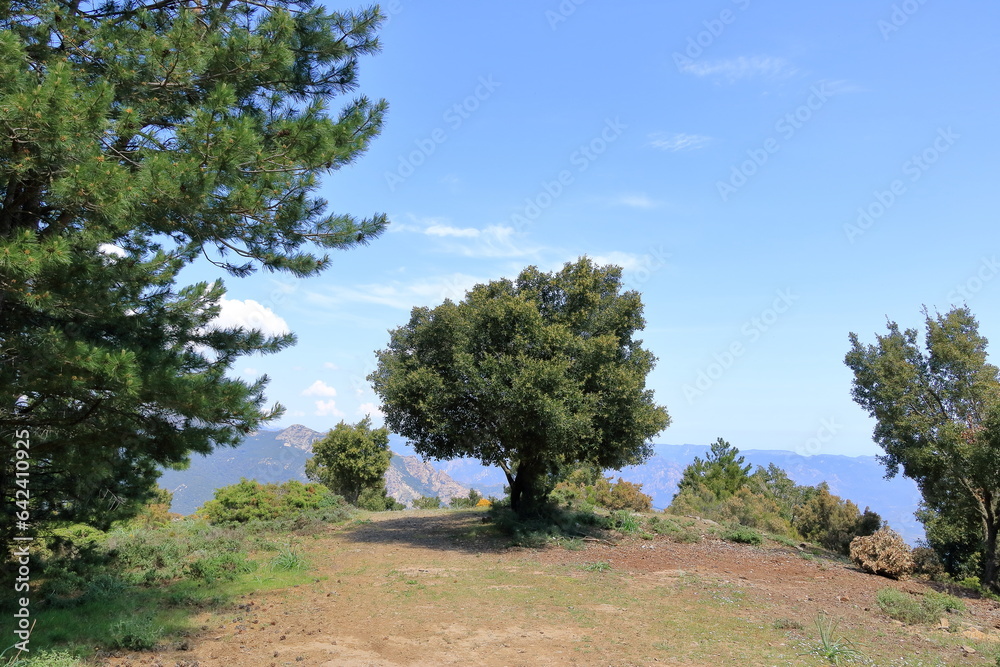 Obraz premium sardinian mountain landscape near Biddamanna Istrisàili/Villagrande Strisaili/Arzana, Italy