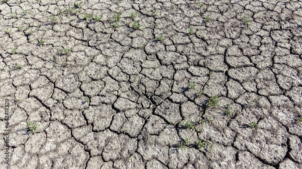 Dry cracked salty silt in the upper Kuyalnik estuary, Ukraine Dry cracked salty silt in the upper Kuyalnik estuary, Ukraine