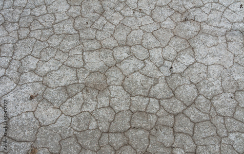 Dry cracked salty silt in the upper Kuyalnik estuary, Ukraine