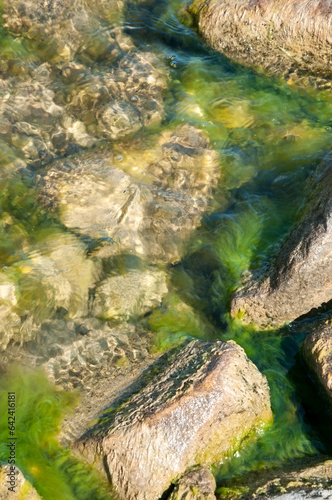 Rocks partially covered with water, seaweed and moss as a background, Uvildy lake, South Ural, Russia, vertical shot
