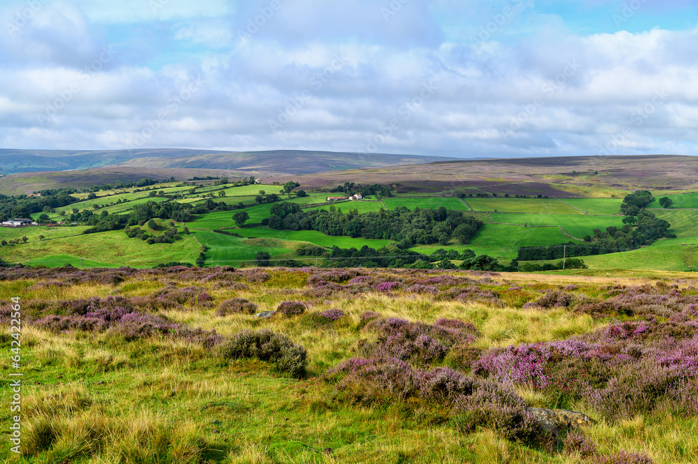 View of the North York Moors at Blakey Ridge on a cloudy morning with a view to distant hills across fields