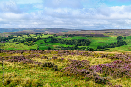 View of the North York Moors at Blakey Ridge on a cloudy morning with a view to distant hills across fields © Paul