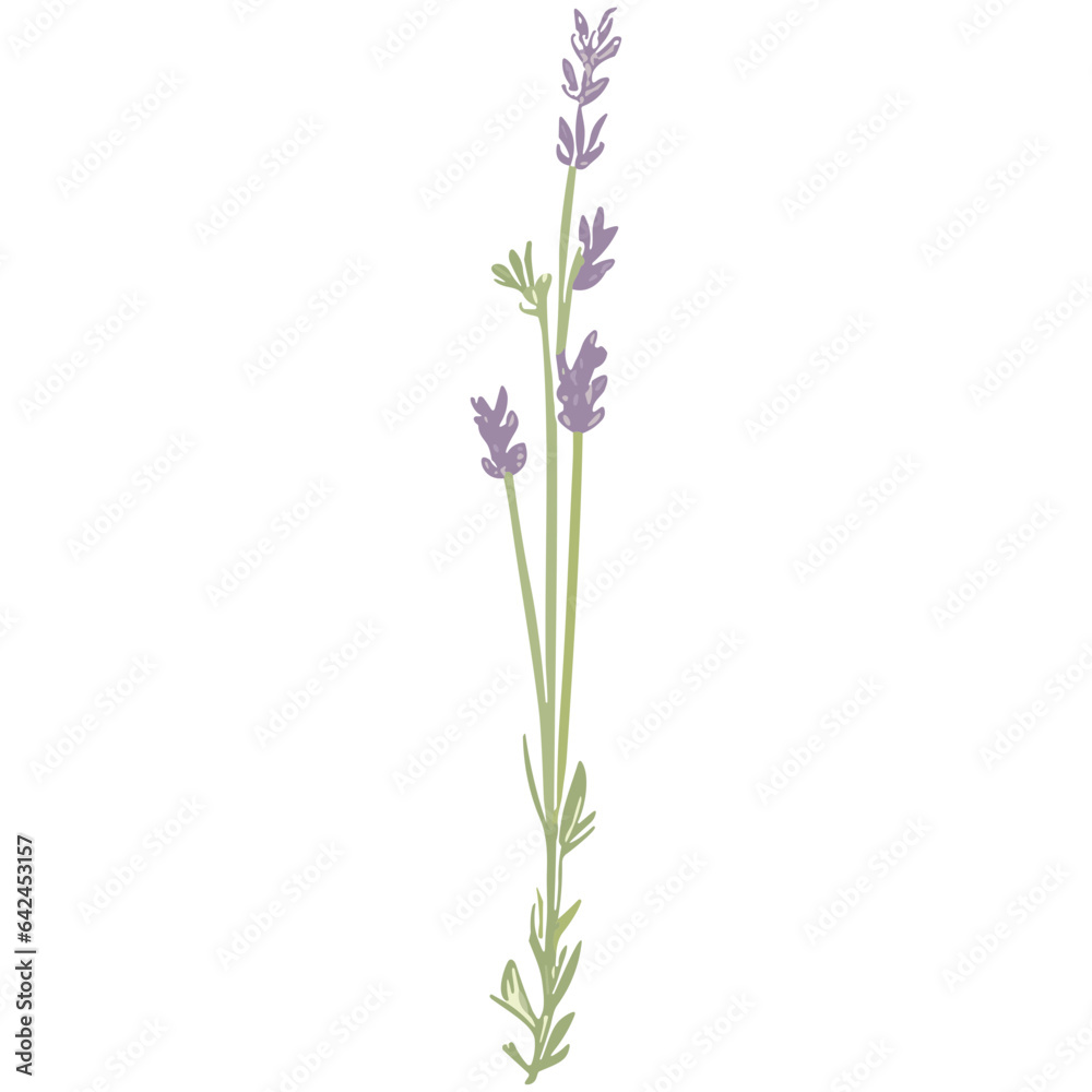 Naklejka premium Charming Lavender Vector Illustrations: Cute and Versatile Lavender Flower Graphics in High-Resolution for Crafts, Decor, and Creative Projects - Instant Download, Perfect for Various Applications