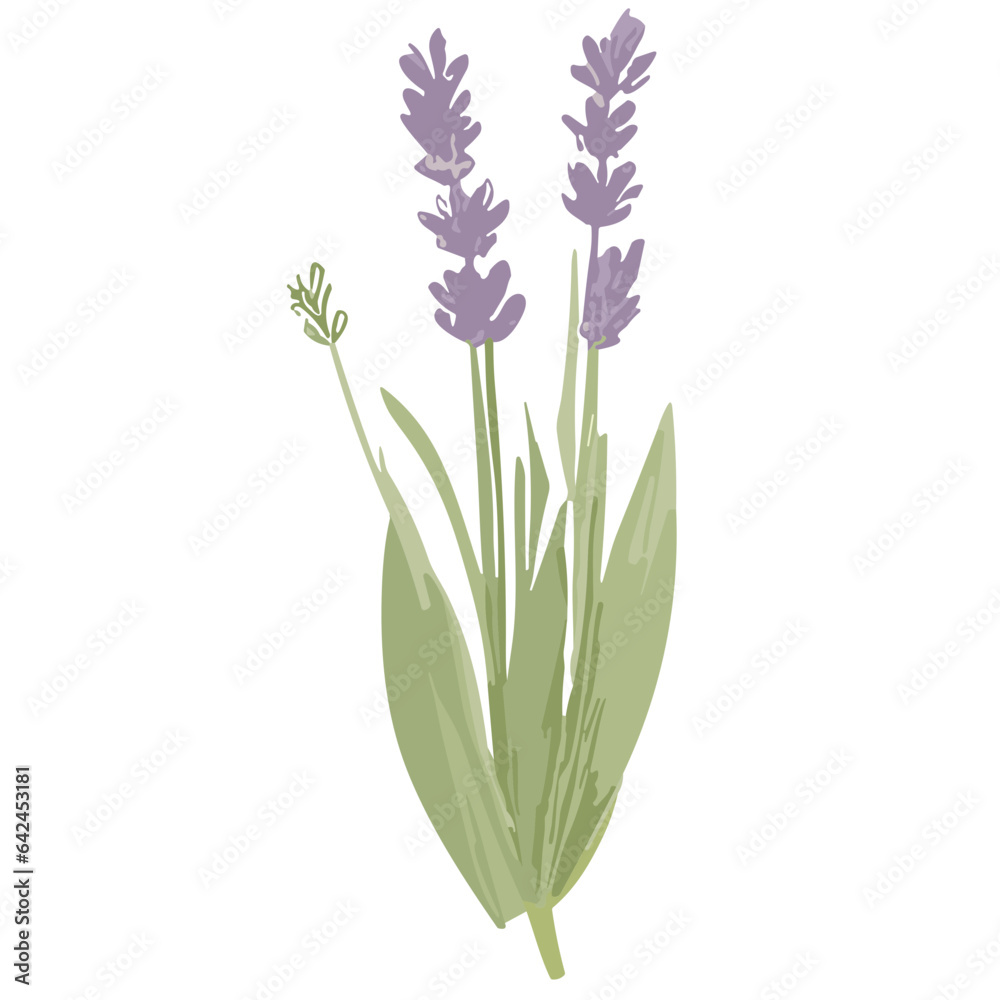 Naklejka premium Charming Lavender Vector Illustrations: Cute and Versatile Lavender Flower Graphics in High-Resolution for Crafts, Decor, and Creative Projects - Instant Download, Perfect for Various Applications