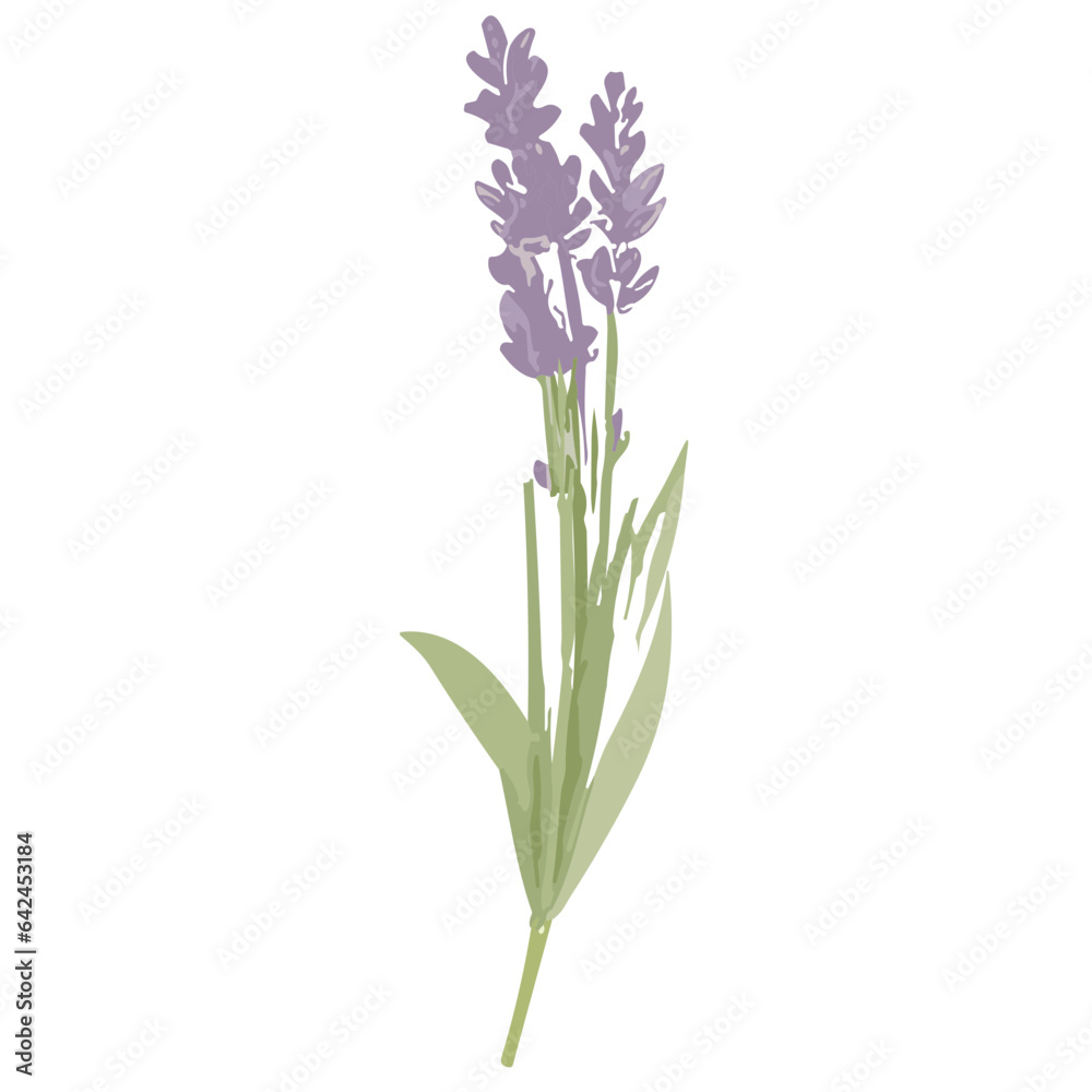 Obraz premium Charming Lavender Vector Illustrations: Cute and Versatile Lavender Flower Graphics in High-Resolution for Crafts, Decor, and Creative Projects - Instant Download, Perfect for Various Applications