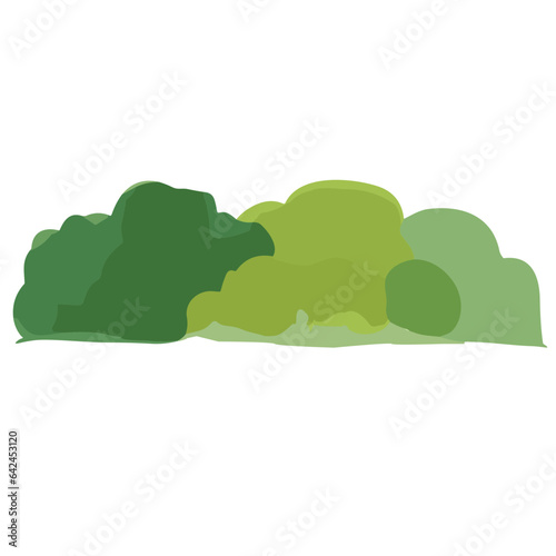 Green tree isolated on white background  with leaves and branches  representing nature and growth