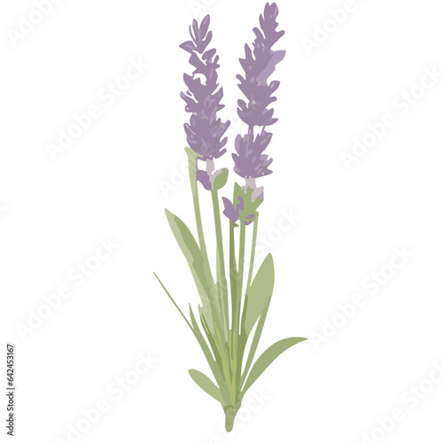 Charming Lavender Vector Illustrations  Cute and Versatile Lavender Flower Graphics in High-Resolution for Crafts  Decor  and Creative Projects - Instant Download  Perfect for Various Applications