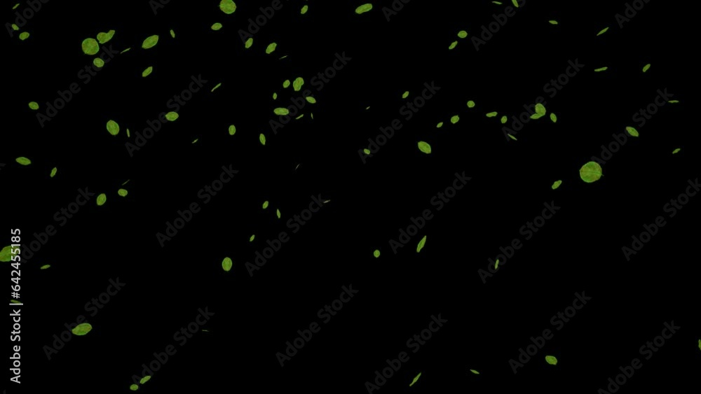  falling green leaves loop isolated with an alpha channel