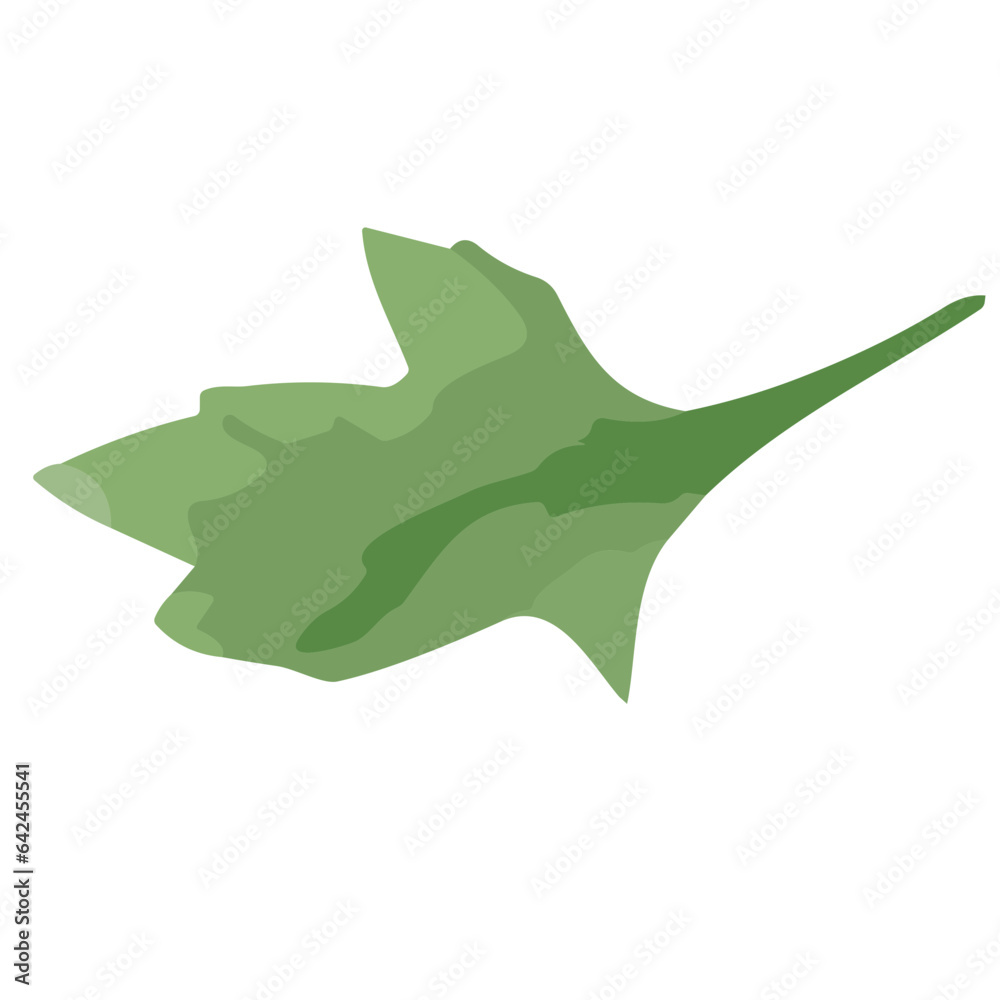 Fototapeta premium Botanical Beauty and Natural Elegance Lush Greenery Leaf Branch for Home Decor and Craft Projects