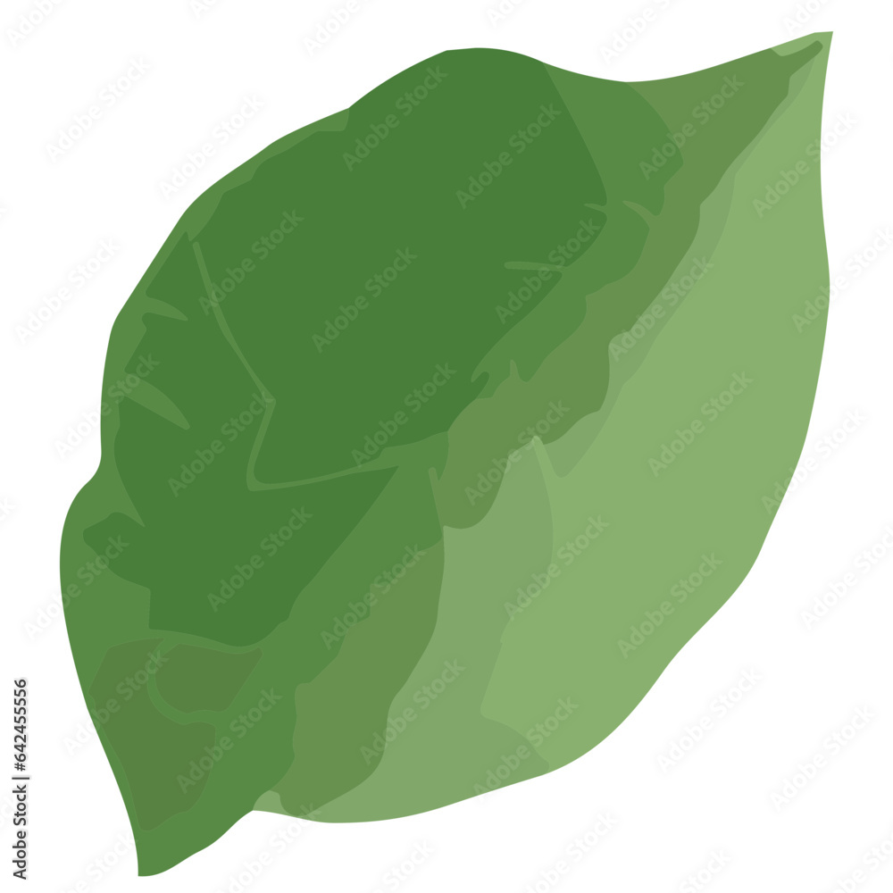 Botanical Beauty and Natural Elegance Lush Greenery Leaf Branch for Home Decor and Craft Projects Botanical Beauty and Natural Elegance Lush Greenery Leaf Branch for Home Decor and Craft Projects