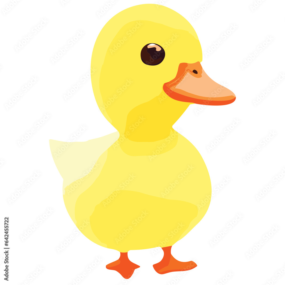 Isolated yellow duck on a clean background Isolated yellow duck on a clean background