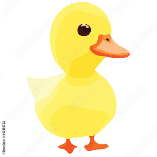 Isolated yellow duck on a clean background