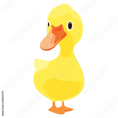 Isolated yellow duck on a clean background
