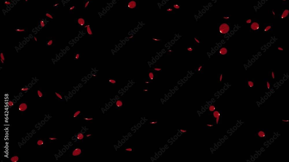 Falling rose petals isolated with an alpha channel