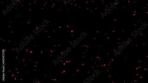 Falling small rose petals Loop isolated with an alpha channel