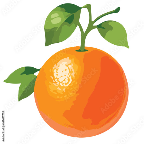 Fresh orange slices, isolated on a white background, showcase the vibrant colors and natural goodness of this juicy citrus fruit