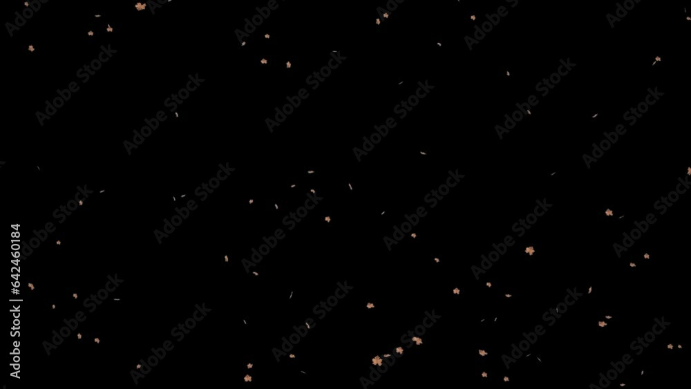 Small Dried falling leaves Loop isolated with an alpha channel