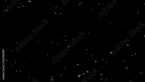 Small Dried falling leaves Loop isolated with an alpha channel