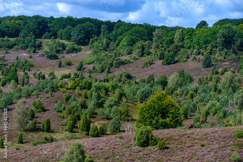 Lüneburger Heide Totengrund bei Döhle