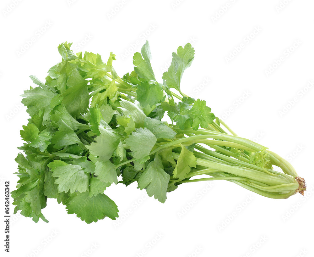 Fresh leaf celery isolated over a white background on transparent.. Fresh leaf celery isolated over a white background on transparent..