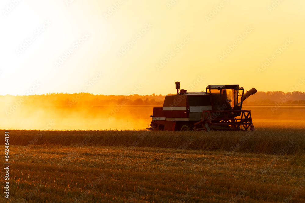 A beautiful image of a combine harvester on the field. Beautiful shot of a harvester in a countryside farm. A combine harvester is harvesting in a field in the evening at sunset