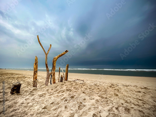 Dark black storm clouds out at sea approach a sandy beach in France, with various large branches standing upright.