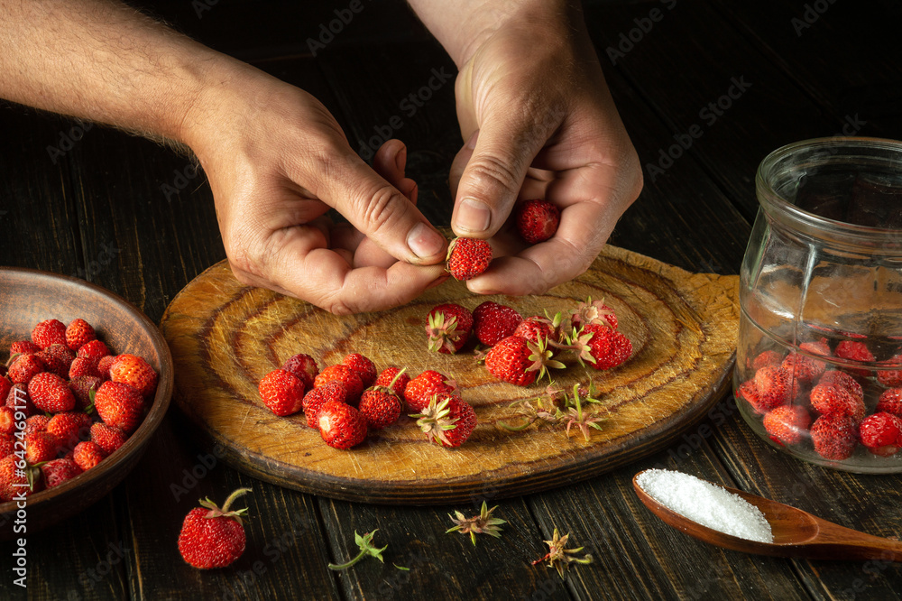 The chef prepares a sweet fruit drink from fresh strawberries and sugar on the kitchen table. The process of canning strawberries or fragaria in a jar at home