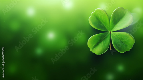 four leaf clover on green shamrock background