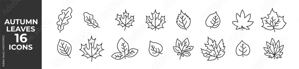 Autumn leaves set. Silhouette leaves set. Vector illustration.
