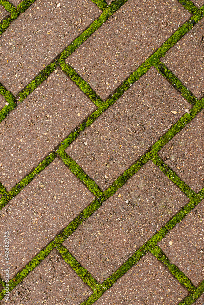 Close-up view of pavement with green moss between bricks. Geometric pattern in nature and the city. Seamless cobblestones and moss texture. Cleaning moss from the pavement. Paving stones with ingrown 