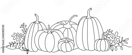 Pumpkin Thanksgiving Day line art background . Simple vector web banner. One continuous line drawing with pumpkin Thanksgiving Day.