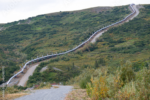 Die auf Stelzen verlegte und 1287 km lange Alaska Pipeline. In ihr wird seit 1977 Erdöl von Arktischen Ozean nach Valdez transportiert. 