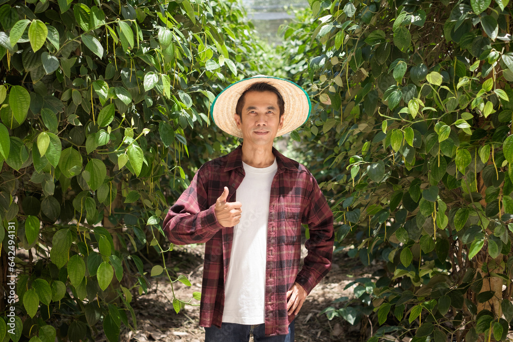 A Thai farmer wearing a red shirt posing thumbs up at a pepper plantation.