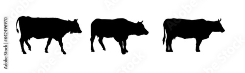 Set of cow silhouette - vector illustration