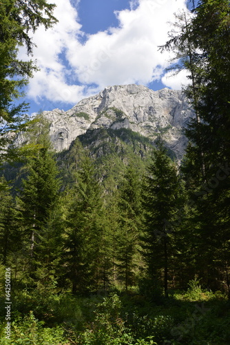 Robanov kot valley in Slovenia © danieldefotograaf