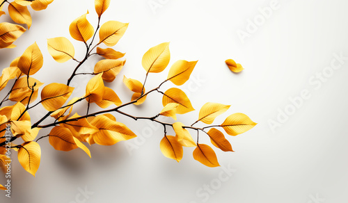 Autumn leaves background with free space for text. AI generated